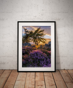 To buy a print or any of the below please click on the images